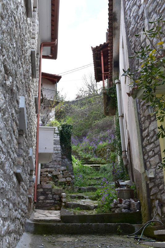 Ανδρίτσαινα