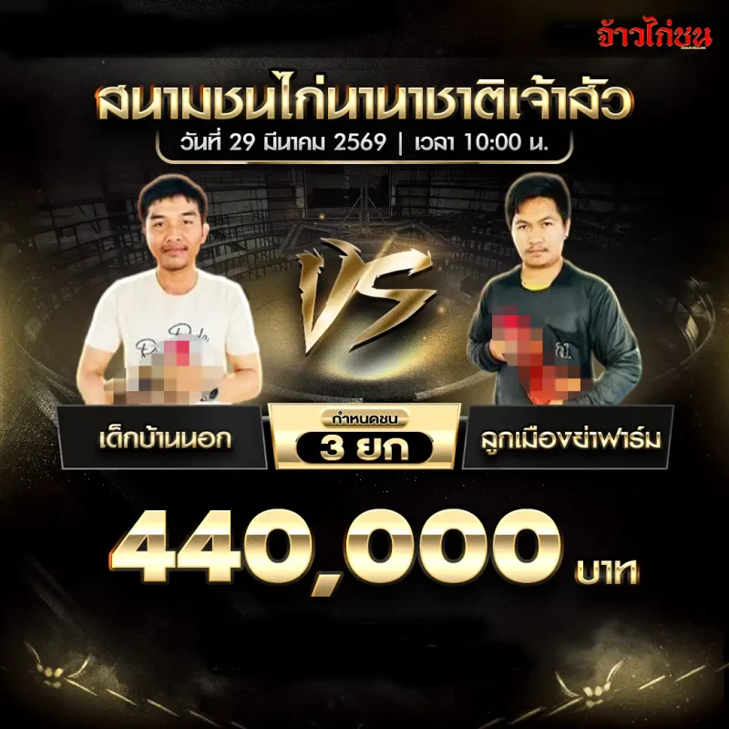 เด็กบ้านนอก พบ ลูกเมืองย่าฟาร์ม โปรแกรมไก่ชน สนามชนไก่นานาชาติเจ้าสัว 29 มีนาคม 2569