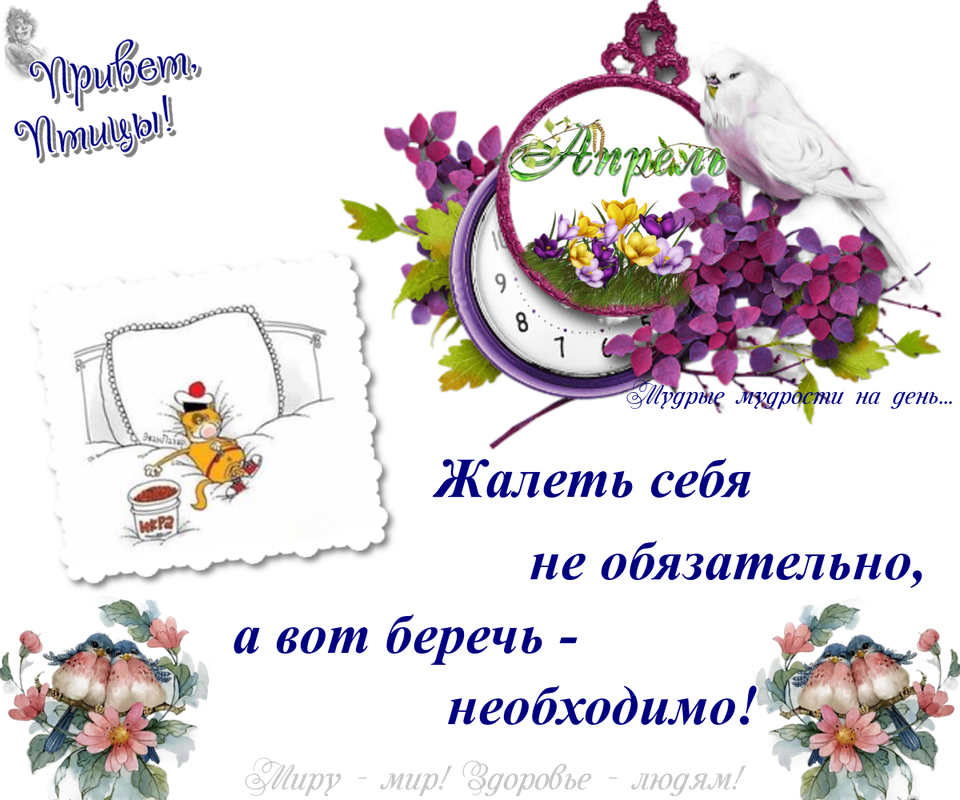 https://i.postimg.cc/bvK7nXSW/02-04.png