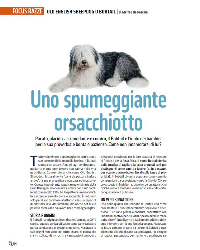 QuattroZampe Dic 2024-Gen 2025 (9)