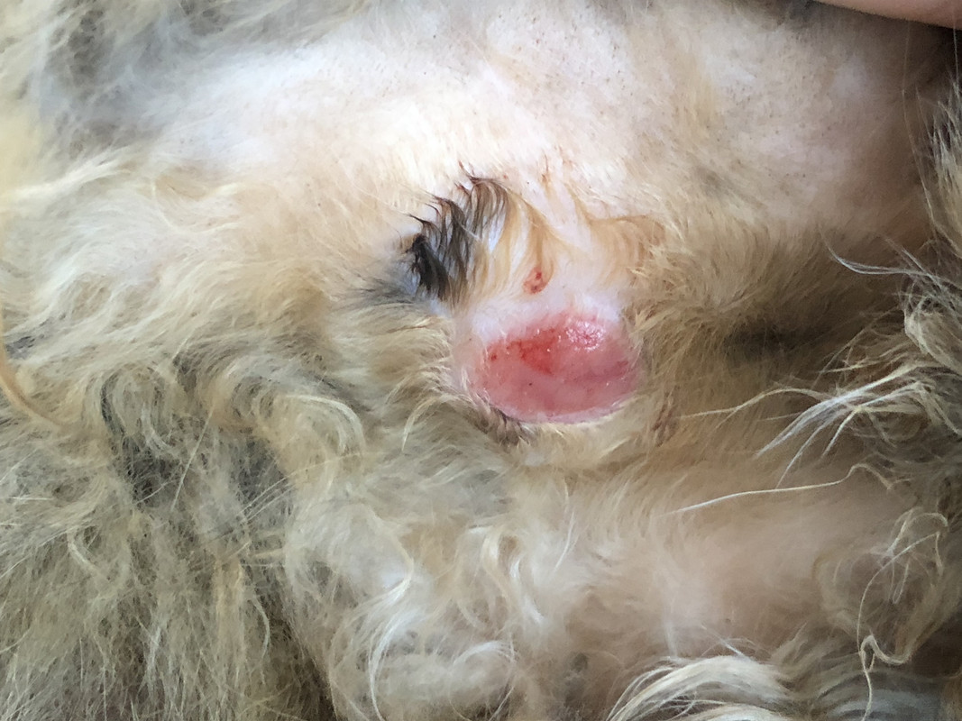 9406BD62-BE7C-41CB-AEAD-53B723C7DF85