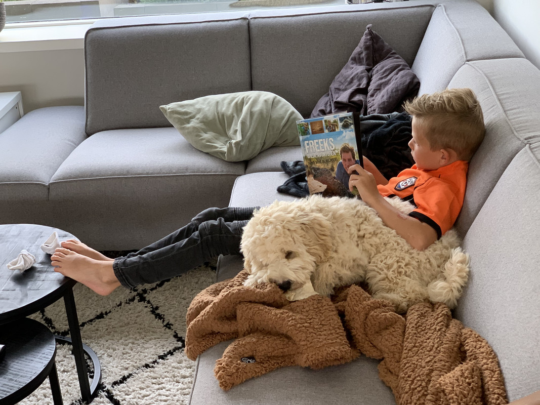 D6883BFC-9D60-4039-AA5E-0AD0BEEA1665