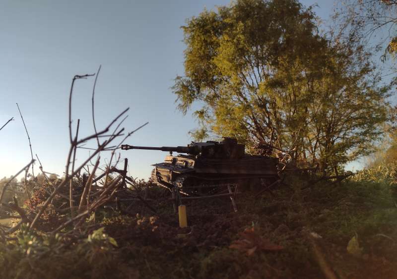 IMG_20241024_164824669