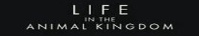 Movie cover image