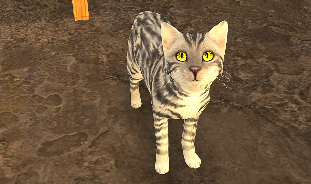 Greenshot_2025_10_29_18_36_11