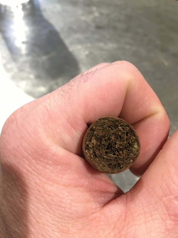 2641FDD1-DB60-4D2C-AA04-85D84D157917