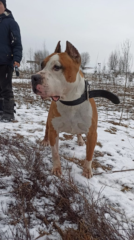 WhatsApp Image 2025-03-05 at 09.45.47 (1)