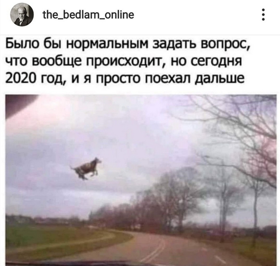 https://i.postimg.cc/bvL76zZC/screenshot-1196.jpg