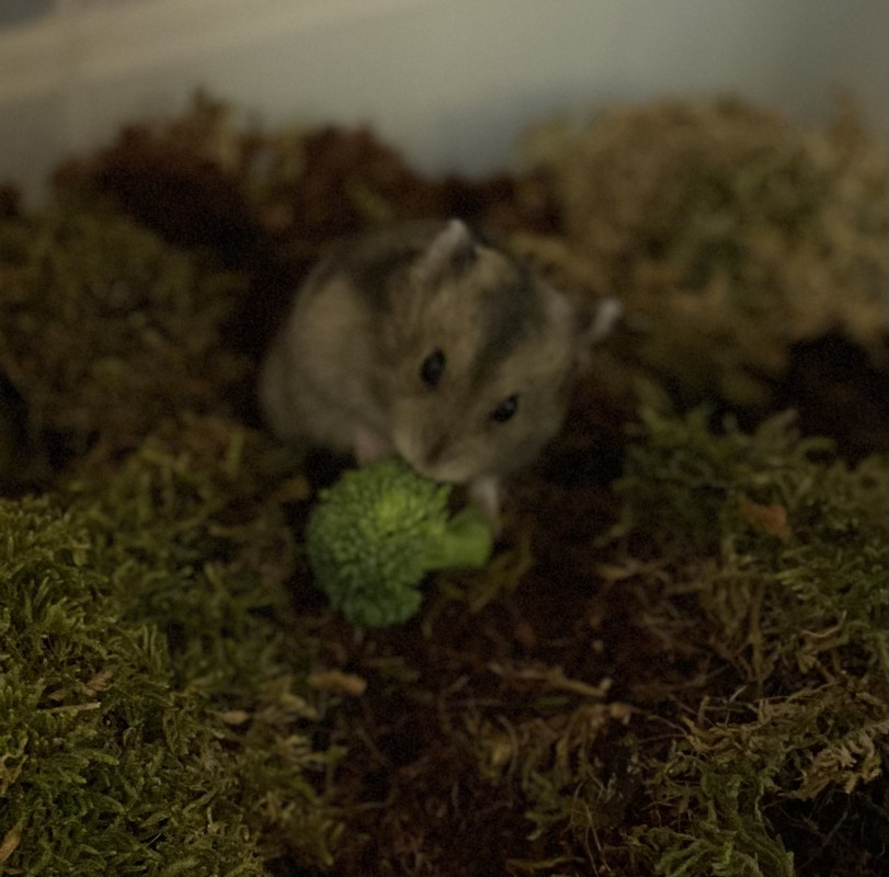 9DA1A810-B347-44A7-8D4A-D26C3B242927