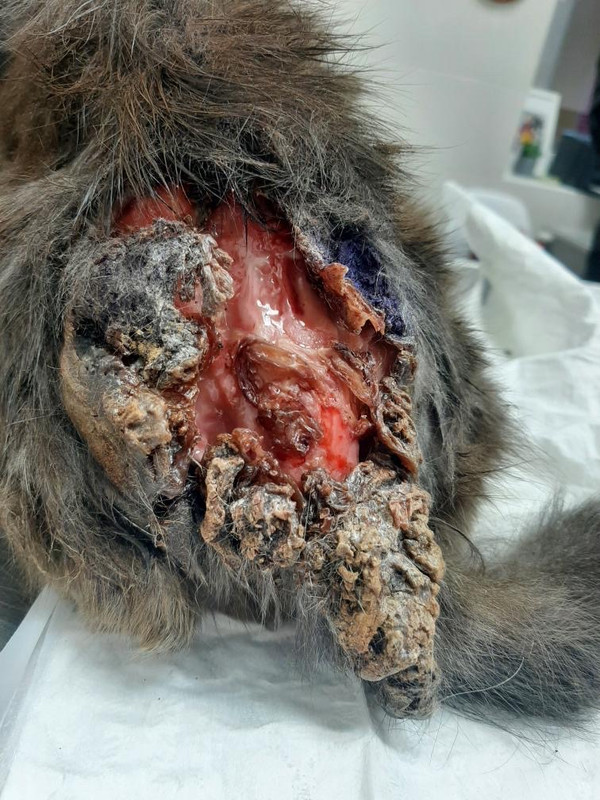 8F142FFD-AD72-46E1-A56A-A0A25C84383C