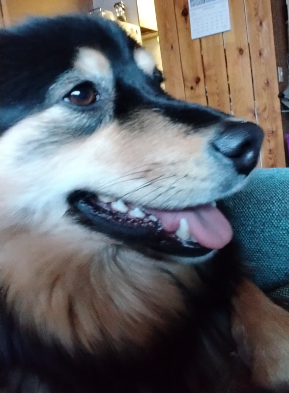 IMG 20260104 105636 edit 116473493350255