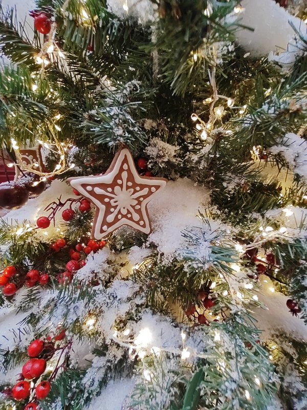 https://i.postimg.cc/bvLrPHJM/114-IMG-20231122-145637.jpg