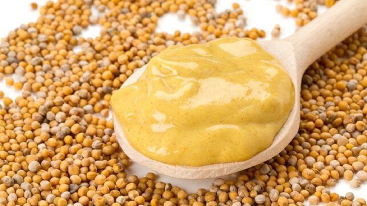 ¿Cuál es el origen de la mostaza? 