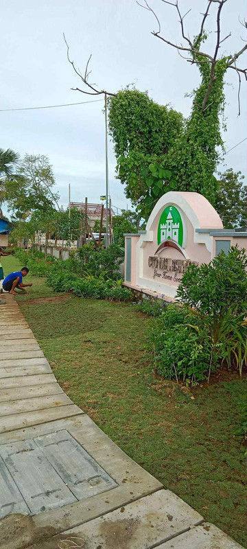 Landscaping Example 3