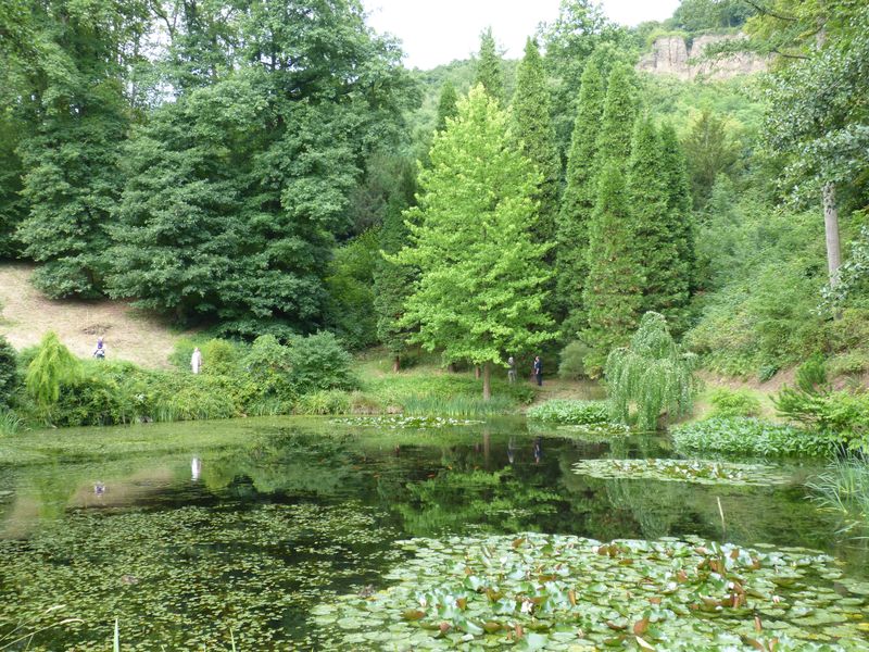 2014-07-13 Arboretum Härle 20