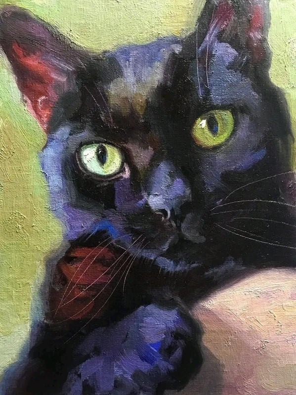 51