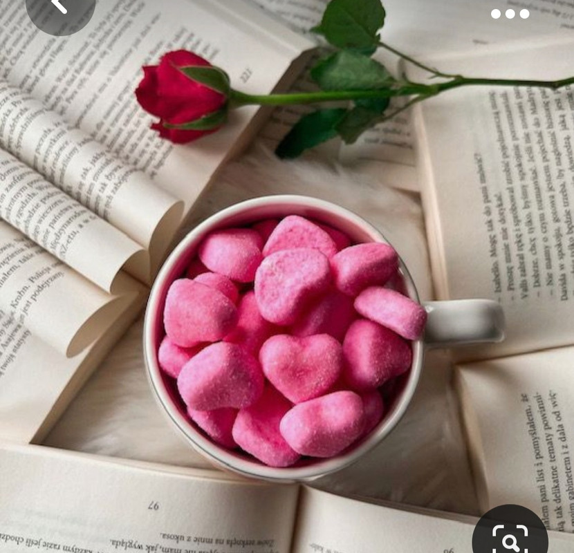 Screenshot_20230928_232951_Pinterest