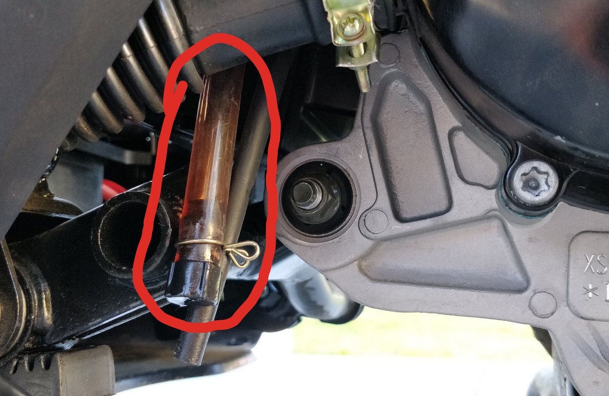 IMG_20180712_192135__01