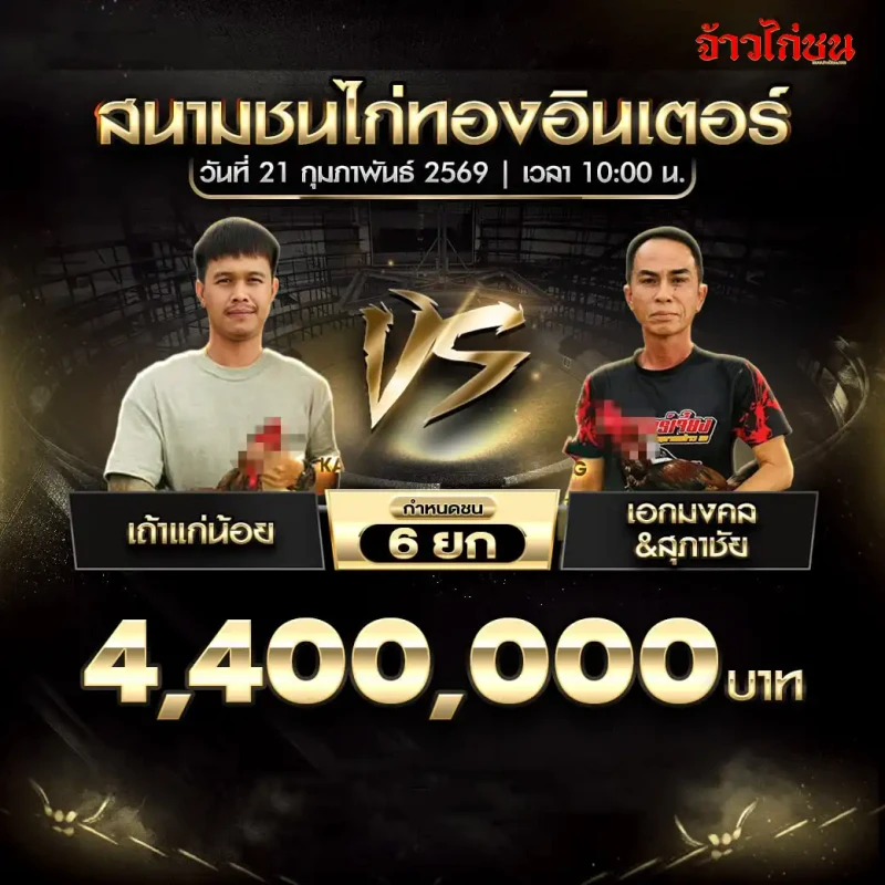 รูปคู่ที่ 1 เถ้าแก่น้อย พบ เอกมงคล&สุภาชัย โปรแกรมไก่ชน สนามชนไก่ทองอินเตอร์ 21 ก.พ. 2569