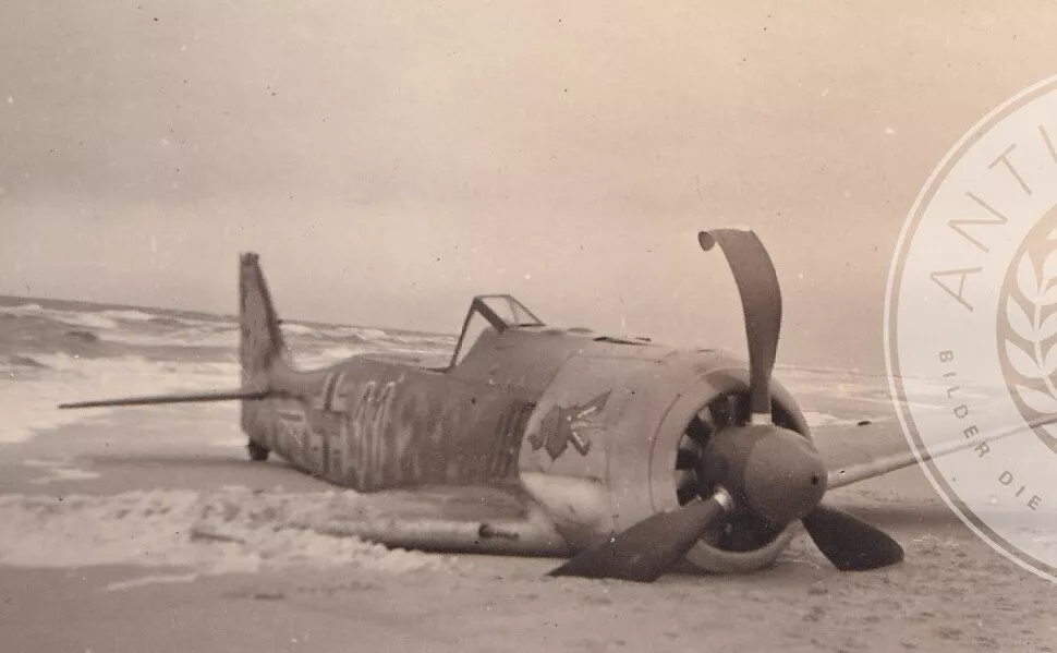 Foto Focke Wulf Fw 190 Würger Kennung II JG 1 schwarze 11 Divisionsabzeichen