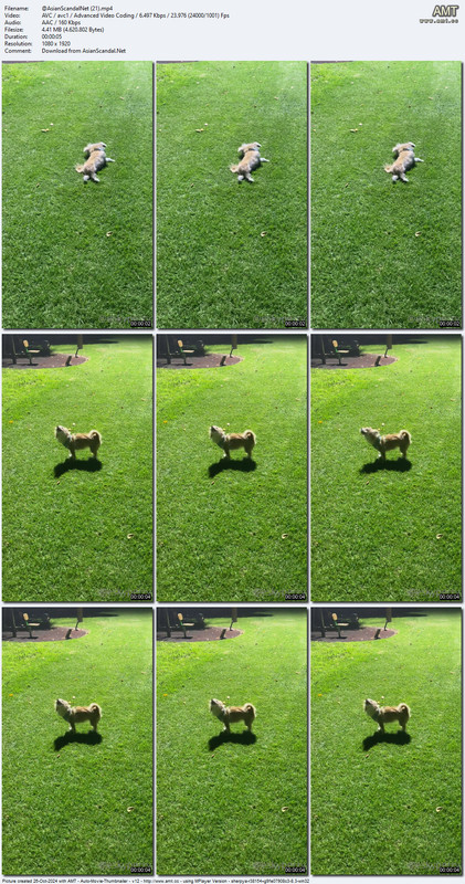 @AsianScandalNet (21).mp4