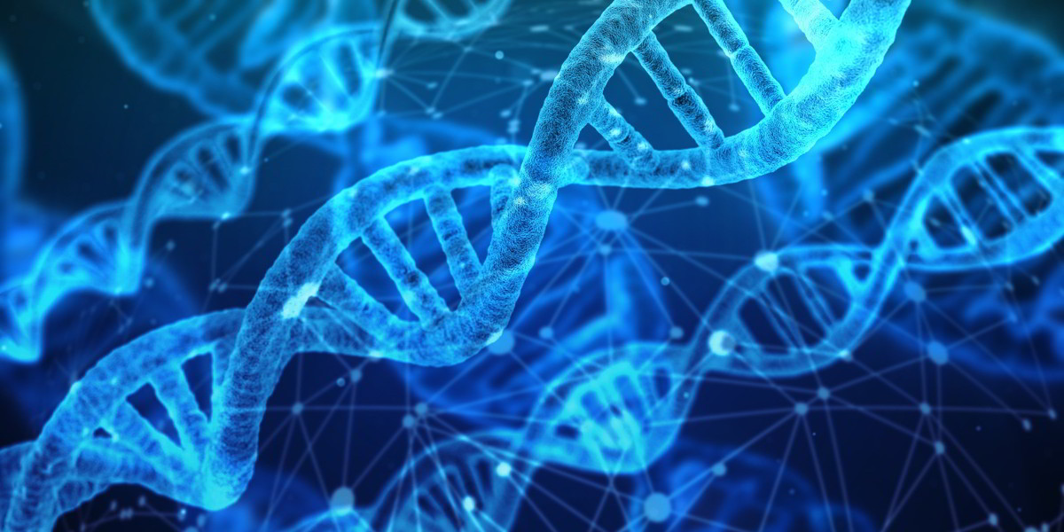 Verso l'estinzione? La nostra specie viene geneticamente modificata: Analisi Microbioma e Viroma