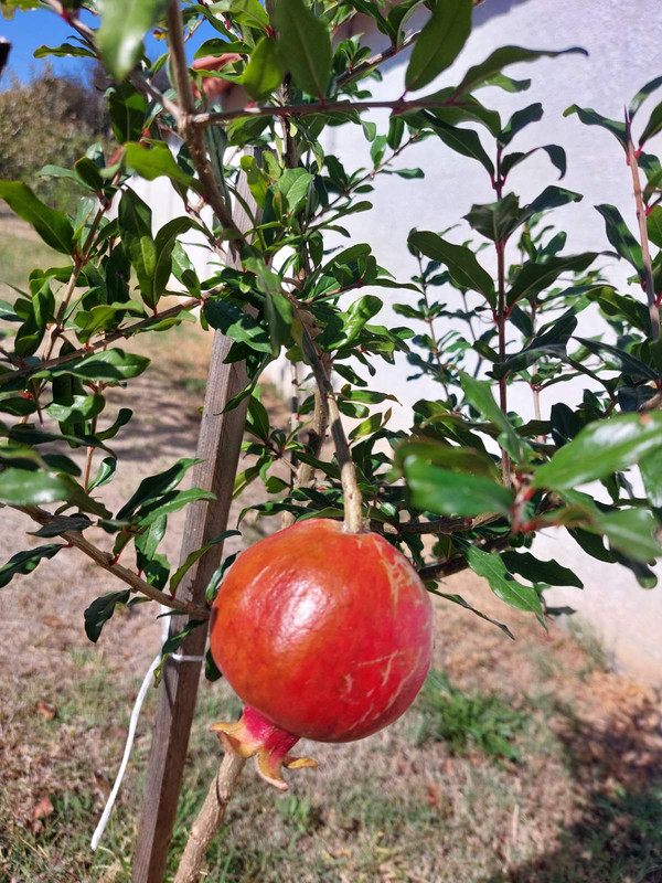 0-02-05-15e571ccf28cb4bd16467d737e5a2742d2c7e5cabac37c2ed372b59db2c86fc6_e830a239e04ba6b9