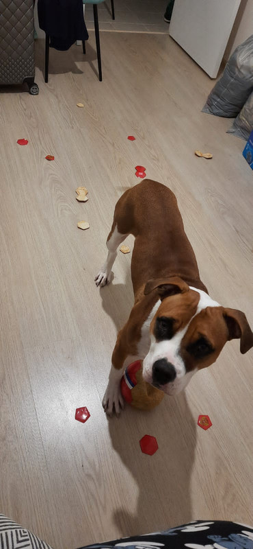 587C761C-F2FA-4811-9D78-2A8A70B25D26