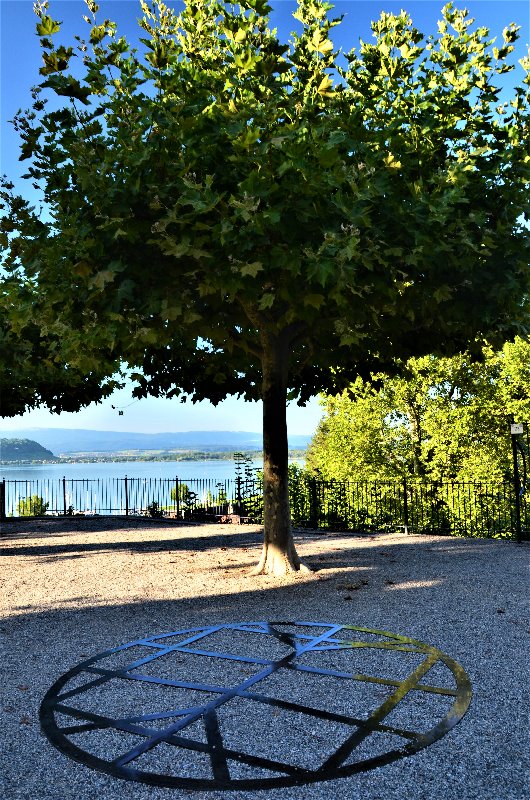 MURTEN-4-9-2019 - Suiza y sus pueblos-2019 (45)