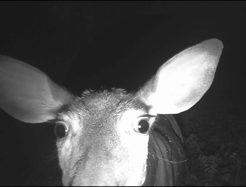 53B86B3C-4145-4C80-B992-A87C0ACDA478