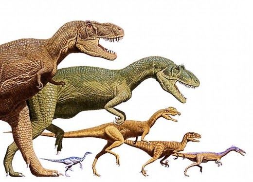 ¡Asombroso! Dinosaurios de dos patas podían correr hasta 48 kilómetros por hora