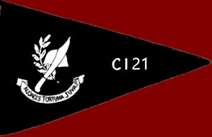 CI21-RED