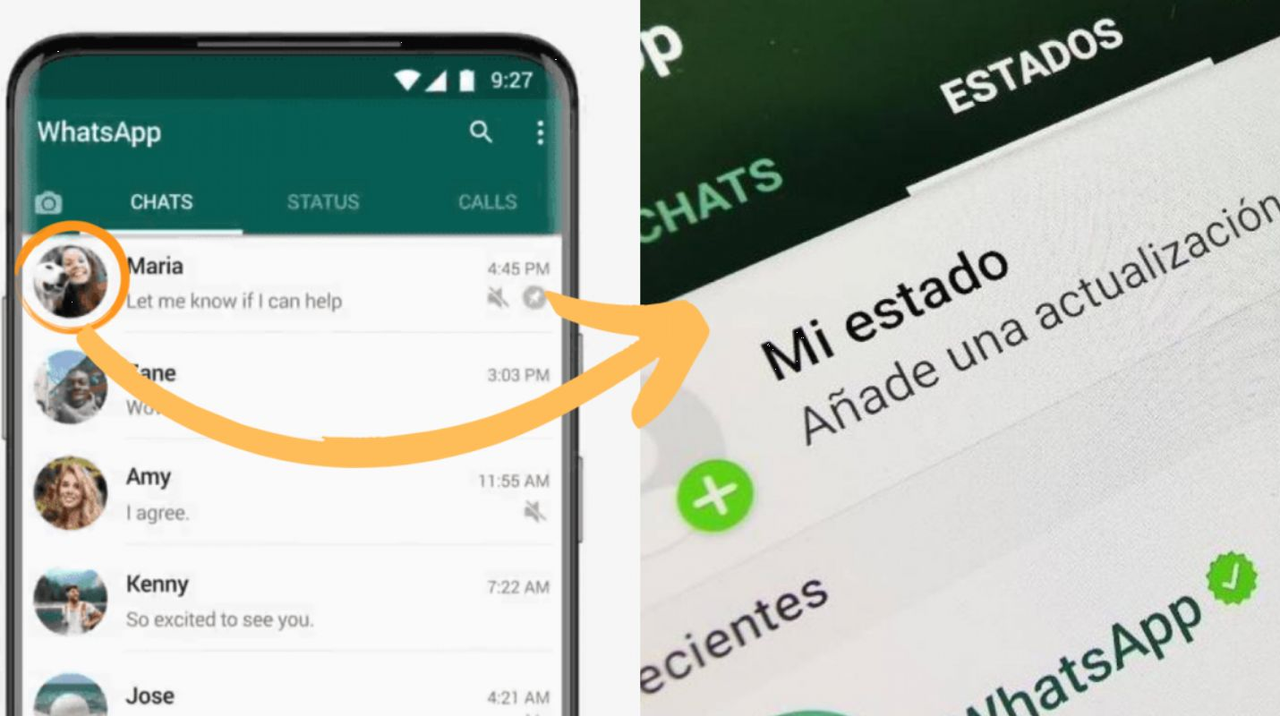 Para esto sirve el círculo alrededor de las fotos en WhatsApp