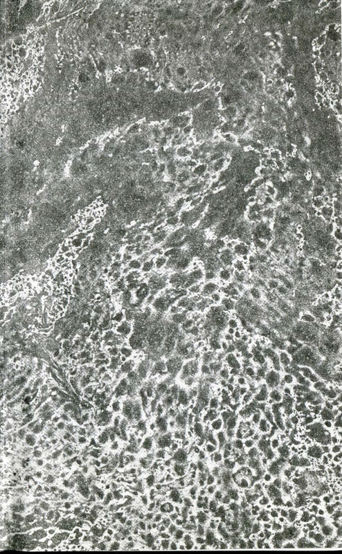 p0003