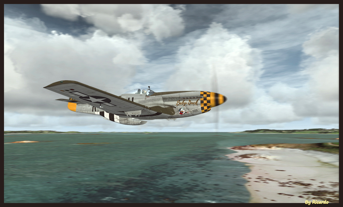 A117.jpg