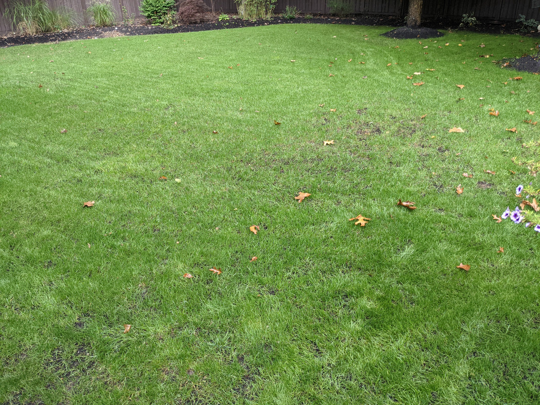 PXL_20211009_165817014