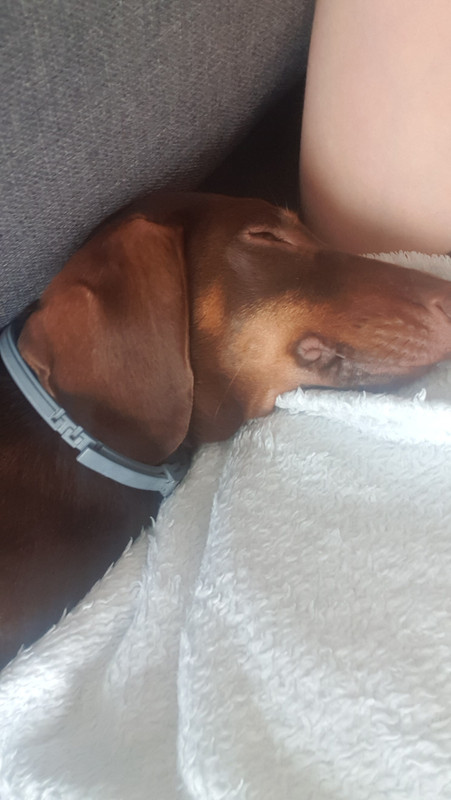 [Image: 20200613-173959.jpg]