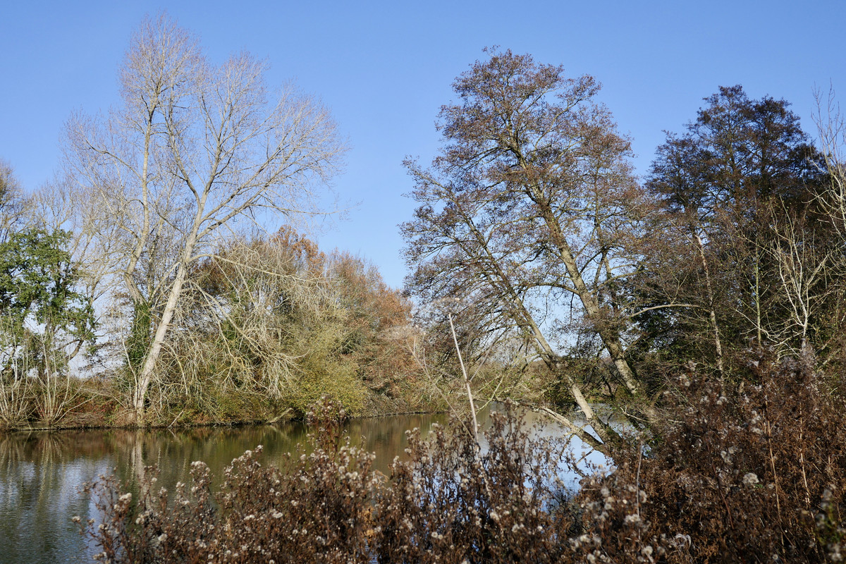 81A4BC47-753C-42E6-9C9A-4250DE07832F