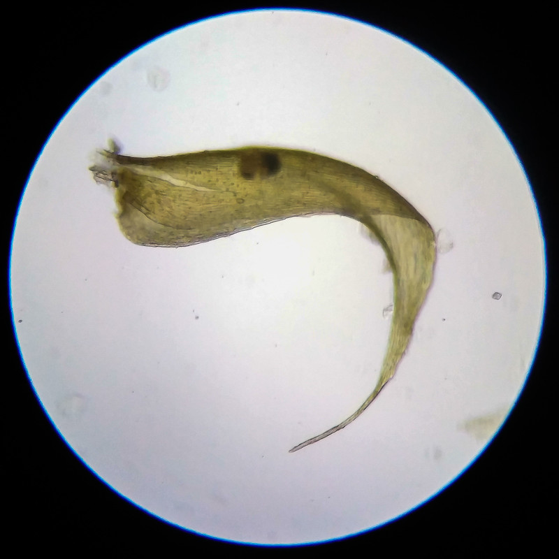 IMG 20250614 204414 HDR