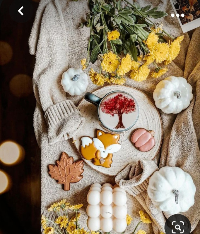 Screenshot_20230923_000540_Pinterest