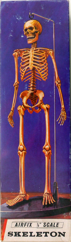 Airfix 6 Skeleton (A301N)