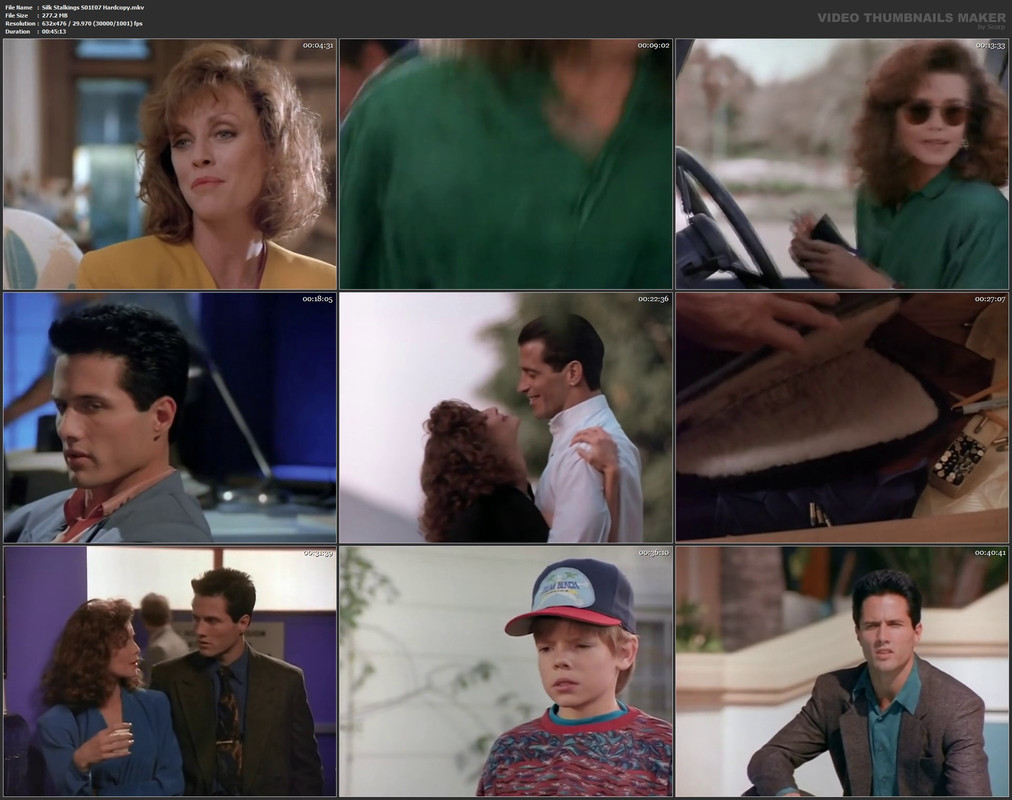 Silk Stalkings S01E07 Hardcopy.mkv