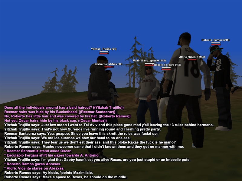 ss103.png