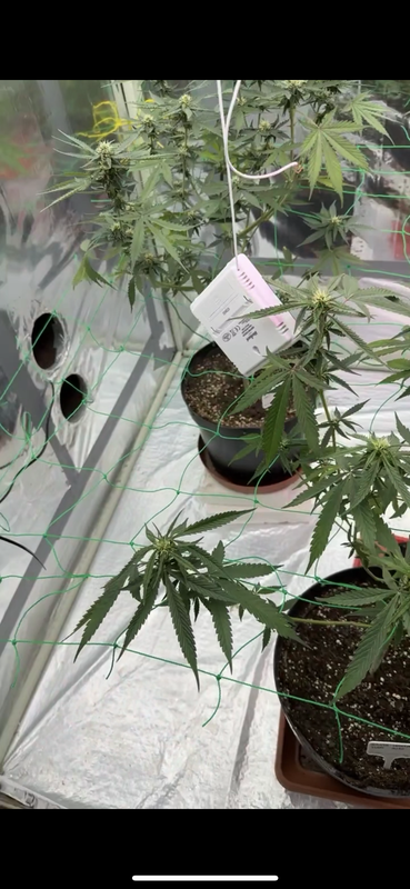 310CAEC4-BD9C-4F3C-A821-BD8A9ADF8B5F