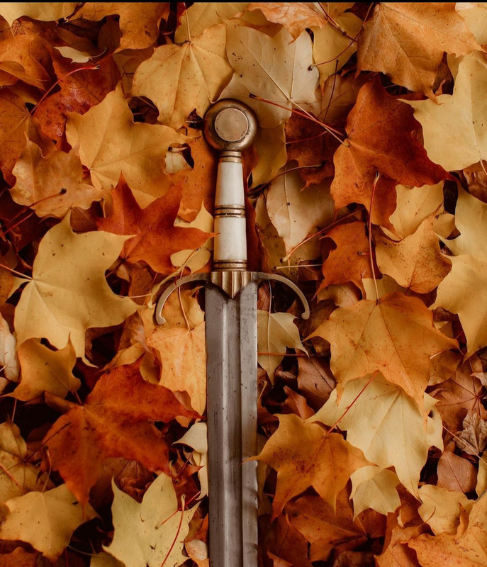 Screenshot_20231208_224227_Instagram