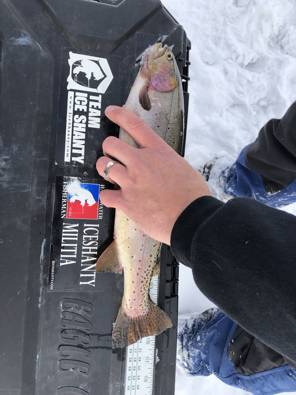 729E2591-4C12-4B9B-B22A-1582B2250E58