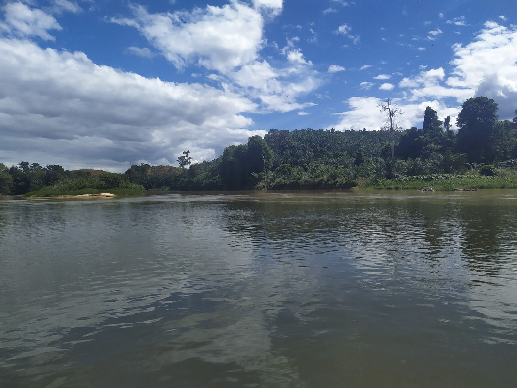 Uniknya Lubuk Pertemuan Di Sungai Perak