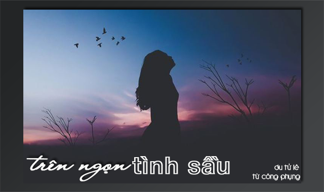 [Image: tnts.png]