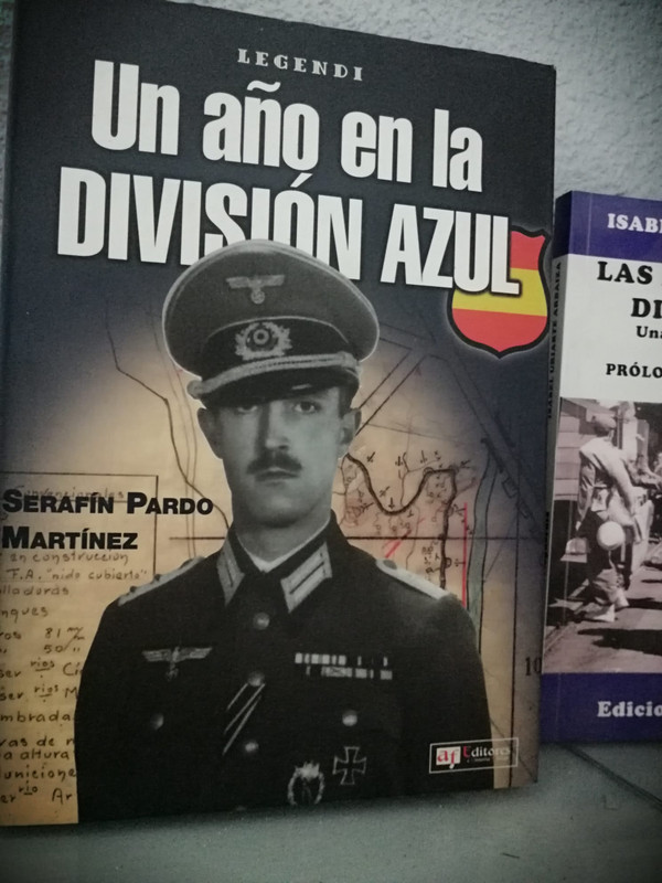un año en la division azul
