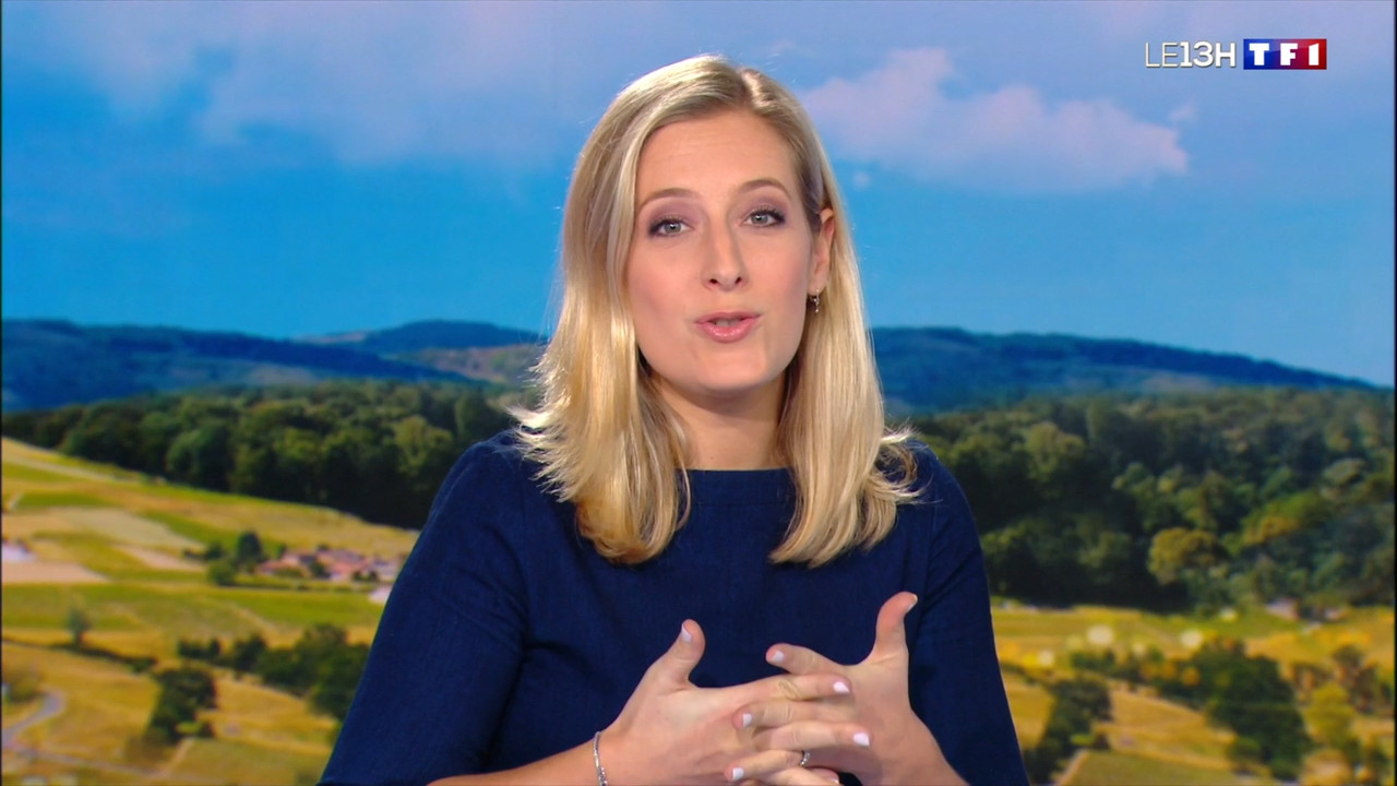 2021-12-01_13_00_TF1_Le-13h.mp4_snapshot_00.17.25.180